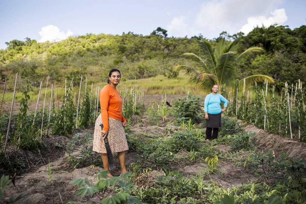 Vieses Cognitivos e Valoração da Prova no Reconhecimento de Atividade Rural da Mulher no Processo Previdenciário